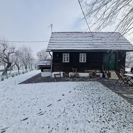 Holiday Home Hizica V Plavem Trnacu Gornja Stubica Extérieur photo