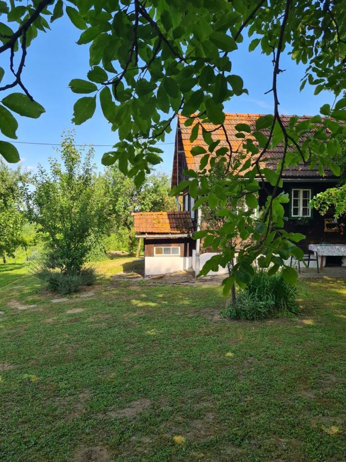 Holiday Home Hizica V Plavem Trnacu Gornja Stubica Extérieur photo