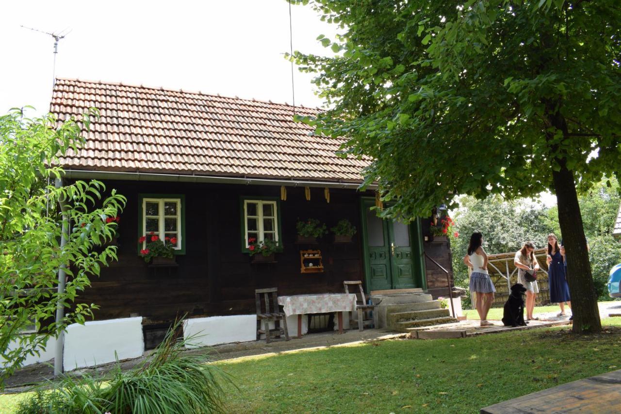 Holiday Home Hizica V Plavem Trnacu Gornja Stubica Extérieur photo