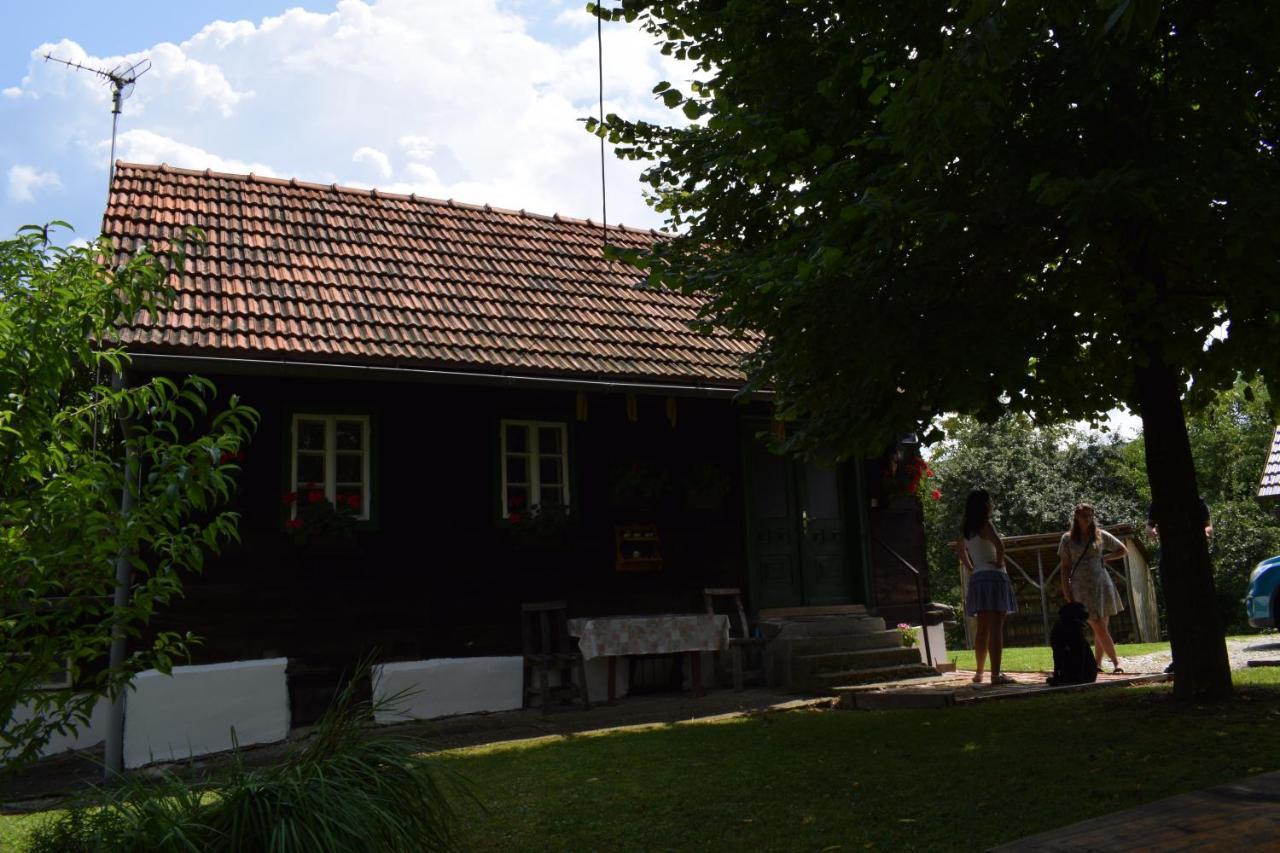Holiday Home Hizica V Plavem Trnacu Gornja Stubica Extérieur photo