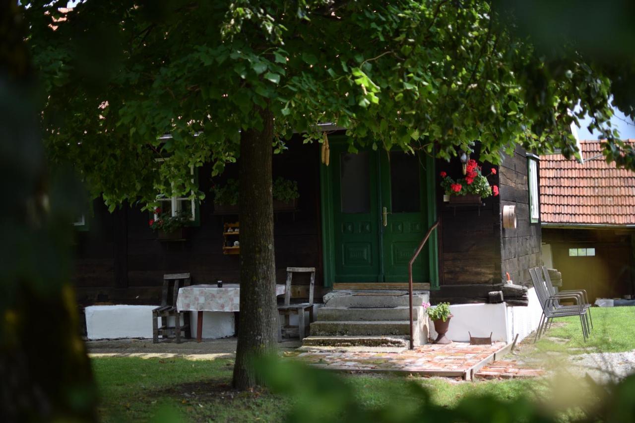 Holiday Home Hizica V Plavem Trnacu Gornja Stubica Extérieur photo
