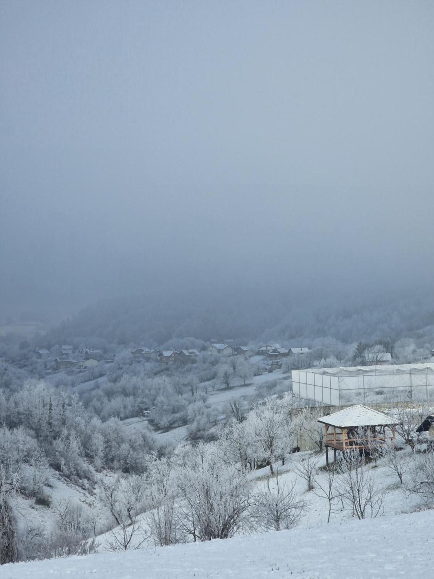 Holiday Home Hizica V Plavem Trnacu Gornja Stubica Extérieur photo