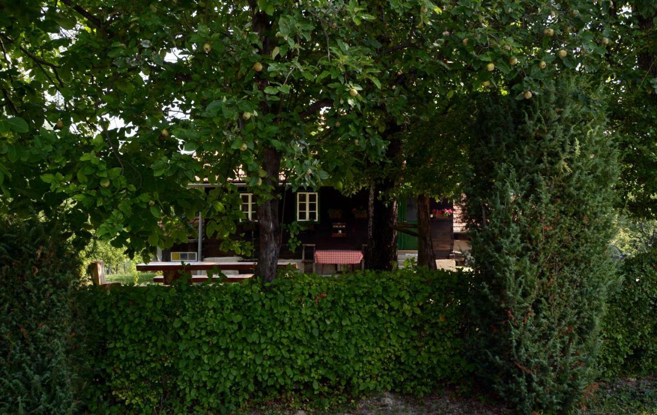 Holiday Home Hizica V Plavem Trnacu Gornja Stubica Extérieur photo