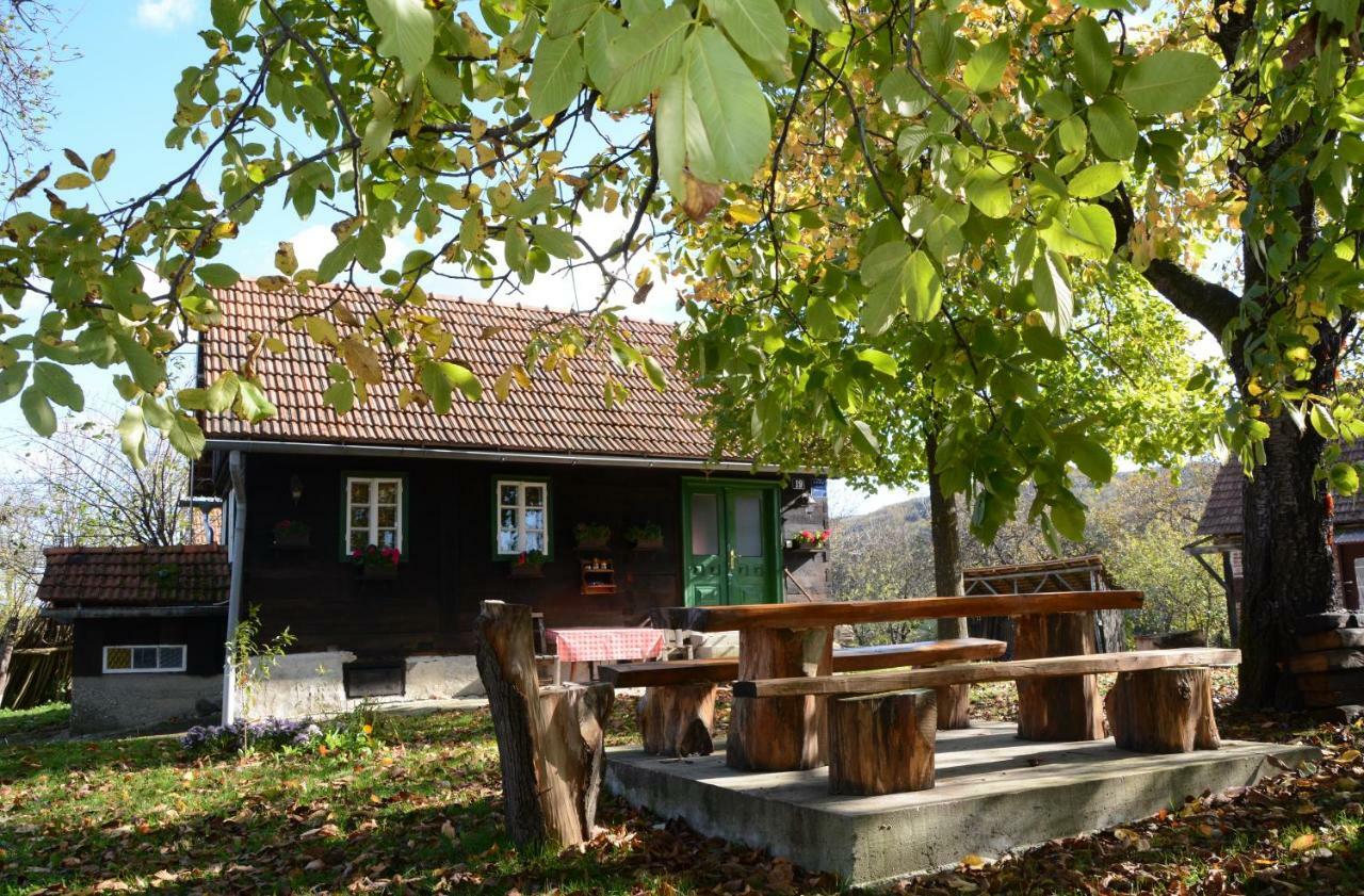 Holiday Home Hizica V Plavem Trnacu Gornja Stubica Extérieur photo