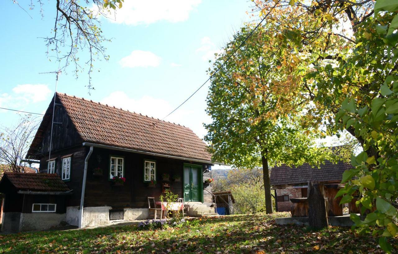 Holiday Home Hizica V Plavem Trnacu Gornja Stubica Extérieur photo