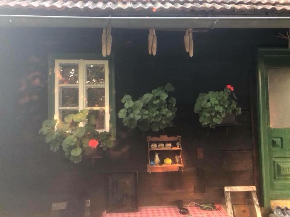 Holiday Home Hizica V Plavem Trnacu Gornja Stubica Extérieur photo